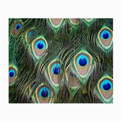 Peacock Feathers Peacock Bird Small Glasses Cloth (2 Sides) by Wegoenart