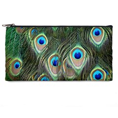 Peacock Feathers Peacock Bird Pencil Cases by Wegoenart