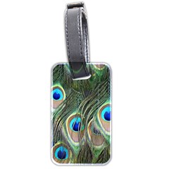 Peacock Feathers Peacock Bird Luggage Tag (two Sides) by Wegoenart