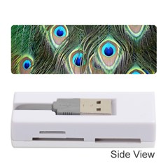 Peacock Feathers Peacock Bird Memory Card Reader (Stick)