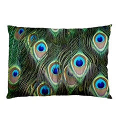 Peacock Feathers Peacock Bird Pillow Case (Two Sides)