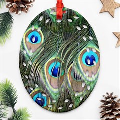 Peacock Feathers Peacock Bird Oval Filigree Ornament (two Sides) by Wegoenart