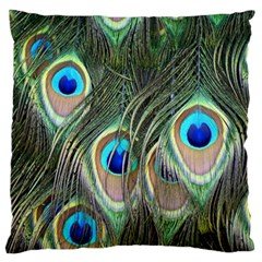 Peacock Feathers Peacock Bird Large Cushion Case (One Side)