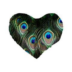 Peacock Feathers Peacock Bird Standard 16  Premium Heart Shape Cushions