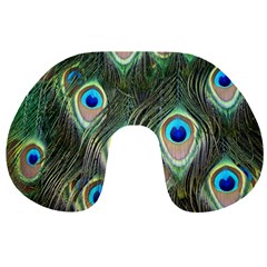 Peacock Feathers Peacock Bird Travel Neck Pillow by Wegoenart