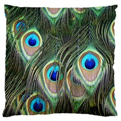 Peacock Feathers Peacock Bird Standard Flano Cushion Case (one Side)