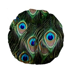 Peacock Feathers Peacock Bird Standard 15  Premium Flano Round Cushions