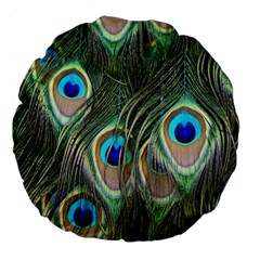 Peacock Feathers Peacock Bird Large 18  Premium Flano Round Cushions