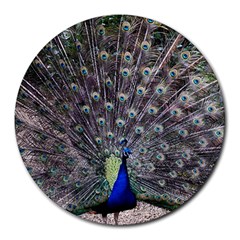 Peacock Bird Feather Plumage Green Round Mousepads by Wegoenart