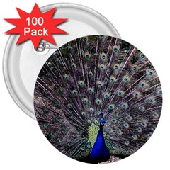 Peacock Bird Feather Plumage Green 3  Buttons (100 Pack)  by Wegoenart