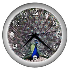 Peacock Bird Feather Plumage Green Wall Clock (silver) by Wegoenart