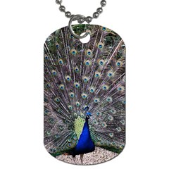 Peacock Bird Feather Plumage Green Dog Tag (one Side) by Wegoenart