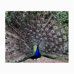 Peacock Bird Feather Plumage Green Small Glasses Cloth by Wegoenart