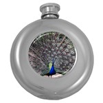 Peacock Bird Feather Plumage Green Round Hip Flask (5 oz) Front