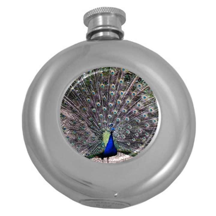 Peacock Bird Feather Plumage Green Round Hip Flask (5 oz)