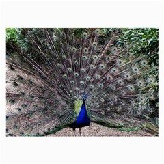 Peacock Bird Feather Plumage Green Large Glasses Cloth by Wegoenart