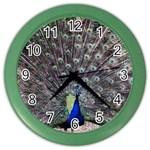 Peacock Bird Feather Plumage Green Color Wall Clock Front