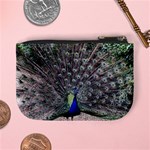 Peacock Bird Feather Plumage Green Mini Coin Purse Back