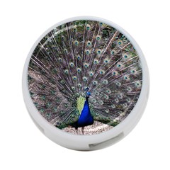 Peacock Bird Feather Plumage Green 4-port Usb Hub (one Side) by Wegoenart