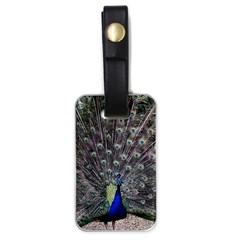 Peacock Bird Feather Plumage Green Luggage Tag (one Side) by Wegoenart