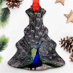 Peacock Bird Feather Plumage Green Ornament (christmas Tree) 