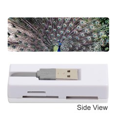 Peacock Bird Feather Plumage Green Memory Card Reader (stick) by Wegoenart