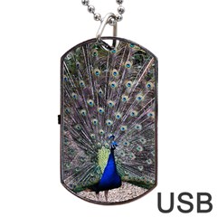 Peacock Bird Feather Plumage Green Dog Tag Usb Flash (two Sides) by Wegoenart