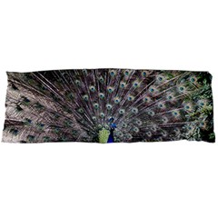 Peacock Bird Feather Plumage Green Body Pillow Case Dakimakura (two Sides) by Wegoenart