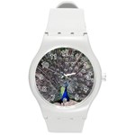 Peacock Bird Feather Plumage Green Round Plastic Sport Watch (M) Front