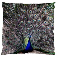 Peacock Bird Feather Plumage Green Large Cushion Case (one Side) by Wegoenart