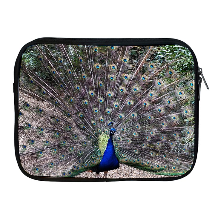 Peacock Bird Feather Plumage Green Apple iPad 2/3/4 Zipper Cases