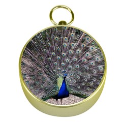 Peacock Bird Feather Plumage Green Gold Compasses by Wegoenart