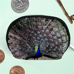 Peacock Bird Feather Plumage Green Accessory Pouch (medium) by Wegoenart