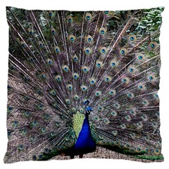 Peacock Bird Feather Plumage Green Large Flano Cushion Case (one Side) by Wegoenart