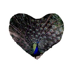 Peacock Bird Feather Plumage Green Standard 16  Premium Flano Heart Shape Cushions