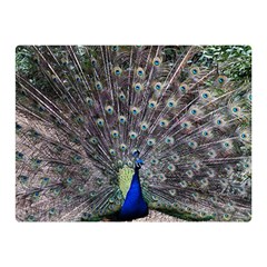 Peacock Bird Feather Plumage Green Double Sided Flano Blanket (mini)  by Wegoenart