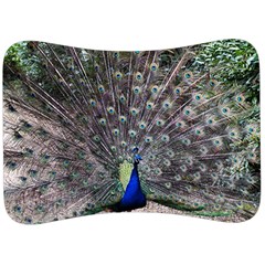 Peacock Bird Feather Plumage Green Velour Seat Head Rest Cushion by Wegoenart