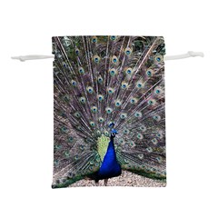 Peacock Bird Feather Plumage Green Lightweight Drawstring Pouch (l) by Wegoenart