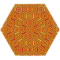 Rby 31 Wooden Puzzle Hexagon by ArtworkByPatrick