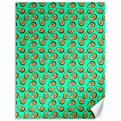 Tropical Aqua Avocadoes Canvas 18  X 24  by snowwhitegirl