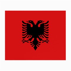 Albania Flag Small Glasses Cloth by FlagGallery