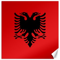 Albania Flag Canvas 12  X 12  by FlagGallery