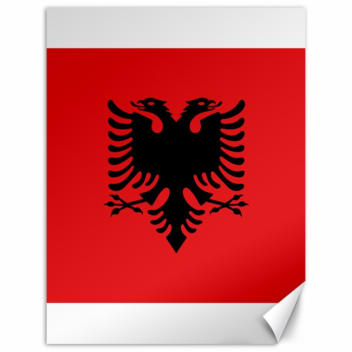 Albania Flag Canvas 12  x 16 