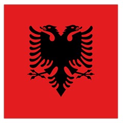 Albania Flag Large Satin Scarf (square) by FlagGallery