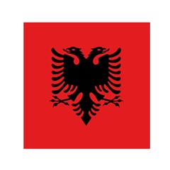 Albania Flag Small Satin Scarf (square) by FlagGallery