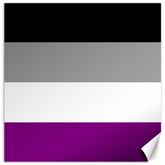 Asexual Pride Flag Lgbtq Canvas 20  X 20  by lgbtnation