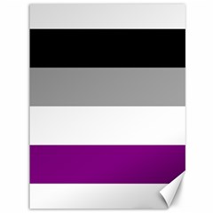 Asexual Pride Flag Lgbtq Canvas 36  X 48  by lgbtnation