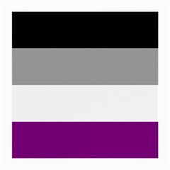 Asexual Pride Flag Lgbtq Medium Glasses Cloth by lgbtnation