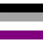 Asexual Pride Flag LGBTQ Deluxe Canvas 14  x 11  (Stretched) 14  x 11  x 1.5  Stretched Canvas