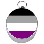 Asexual Pride Flag LGBTQ Silver Compasses Front